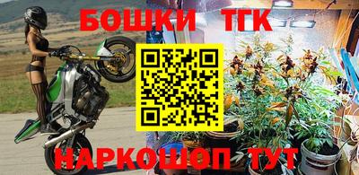 прущие крисы Краснознаменск