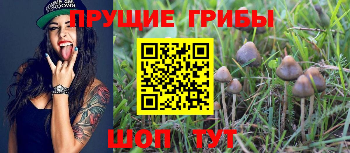 Псилоцибиновые грибы MAGIC MUSHROOMS  Вход с VPN  Псилоцибиновые грибы Psilocybe  Корсаков 