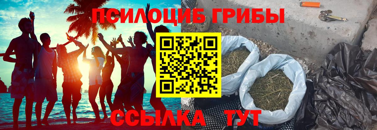 Галлюциногенные грибы Psilocybe Корсаков