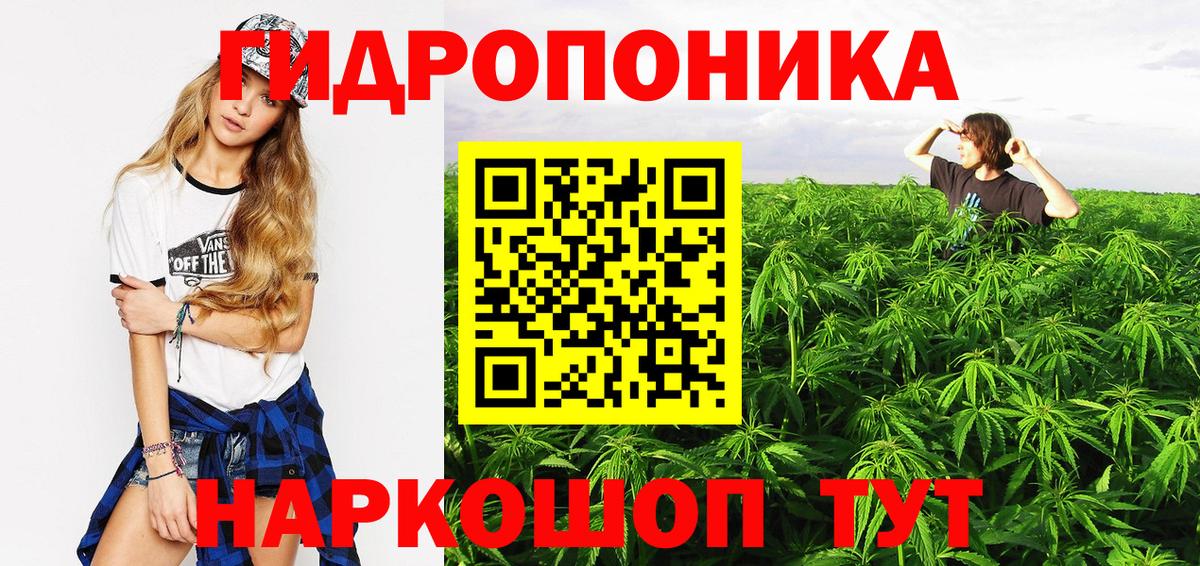 Бошки Шишки план  Конопля White Widow  Вход с VPN  Корсаков  Бошки марихуана планчик 